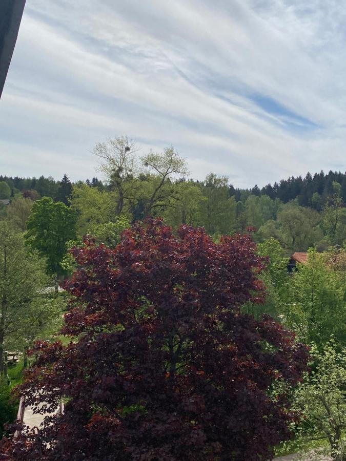 Hotel Braunlage Exterior photo