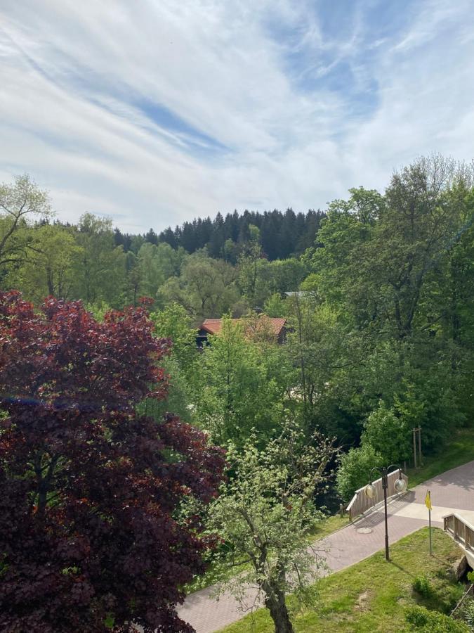 Hotel Braunlage Exterior photo