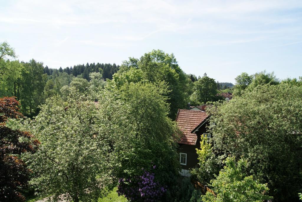 Hotel Braunlage Exterior photo