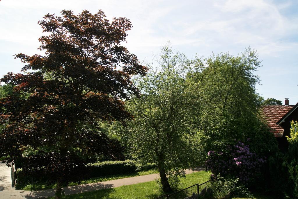 Hotel Braunlage Exterior photo