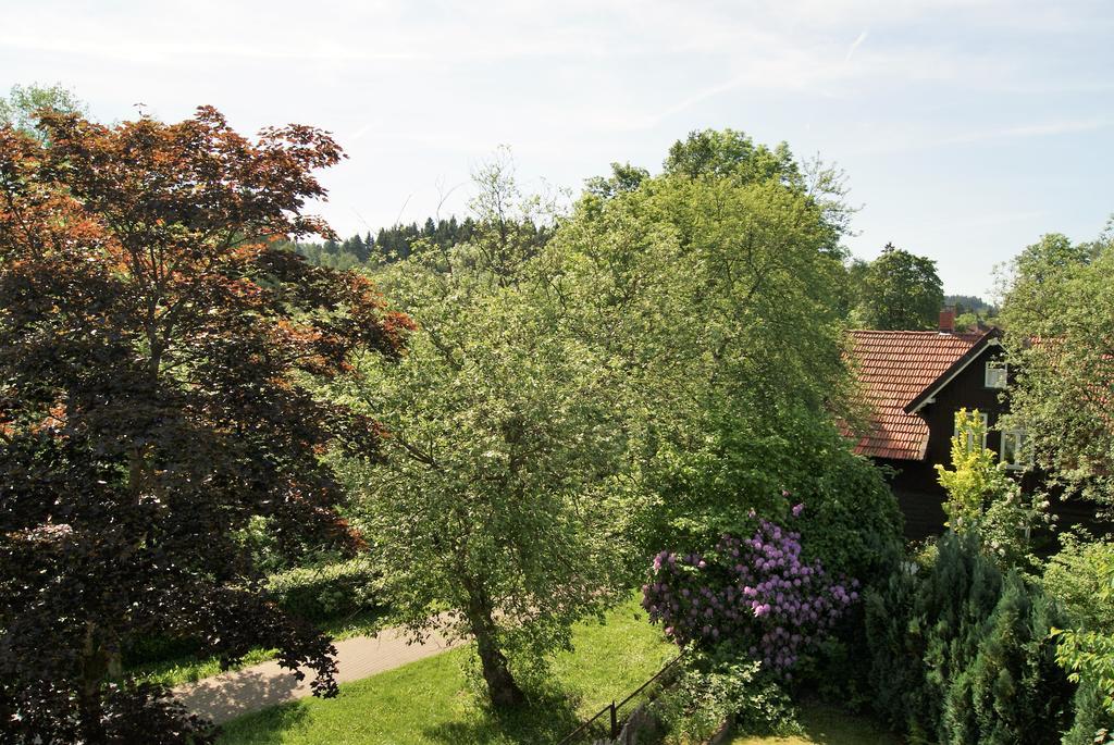 Hotel Braunlage Exterior photo