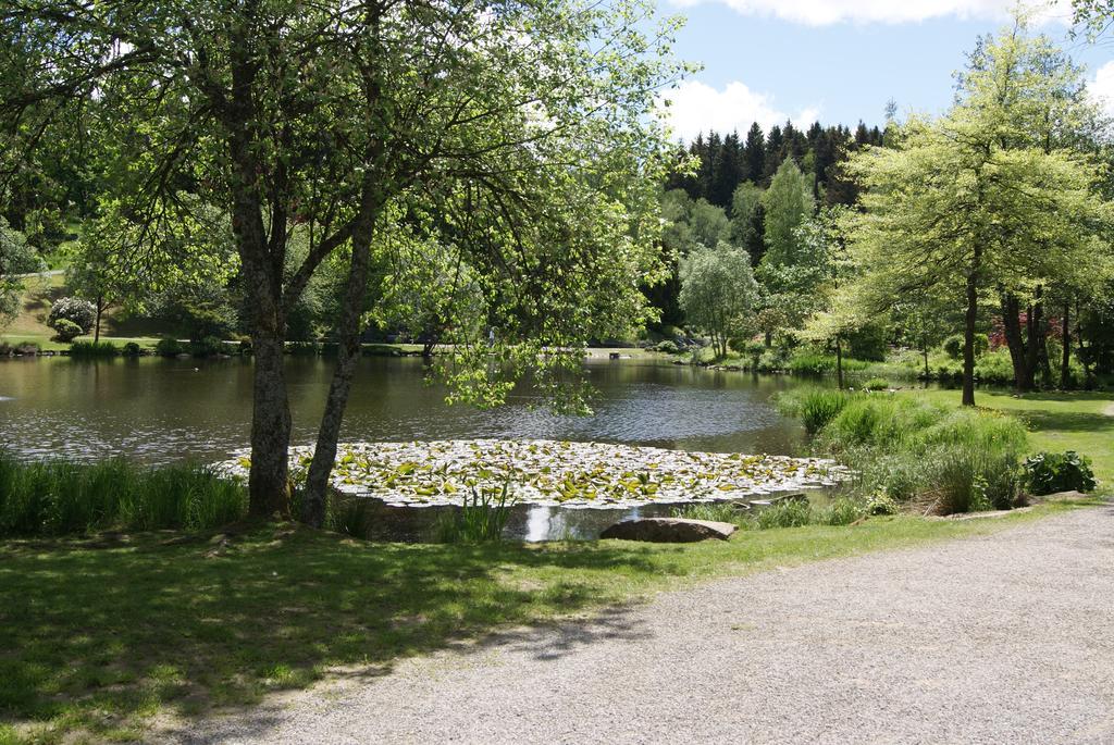 Hotel Braunlage Exterior photo